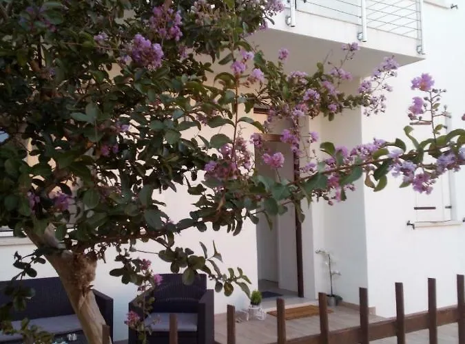 The Judas Trees