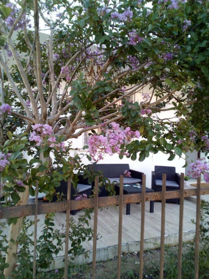 The Judas Trees